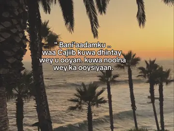 repost. . . #fyp #foreyou #somalitiktok #lander 
