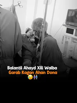 part 384 | Baläntaan😘#fypdongggggggg #trendingvideo #@𝗅𝖲𝖧ᗩᗩ🎀🐆 #somalitiktok #fypシ゚ 