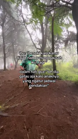 alamak #fyppppppppppppppppppppppp #pendakian #mountain #4u 