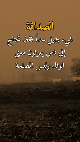الصداقه شيء جميل 👌✋ #عبارات #امير #اكسبلورexplore 