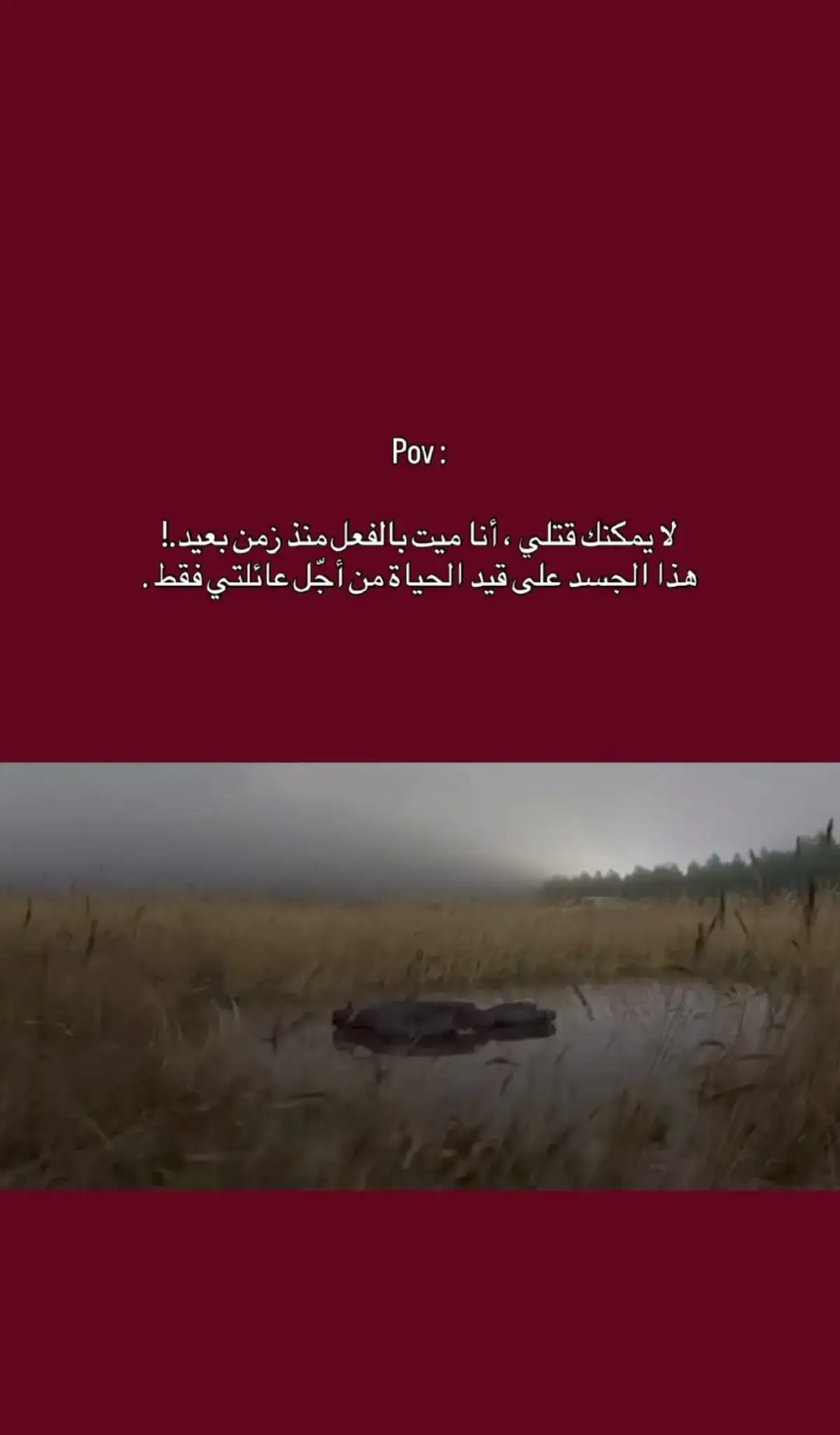 #عبارات_جميلة_وقويه😉🖤 #🖤😉 #المانيا_السويد_النمسا_النروج_دينيمارك #تركيا🇹🇷اسطنبول_سوريا_💔حلب_المغرب_إدلب_ 