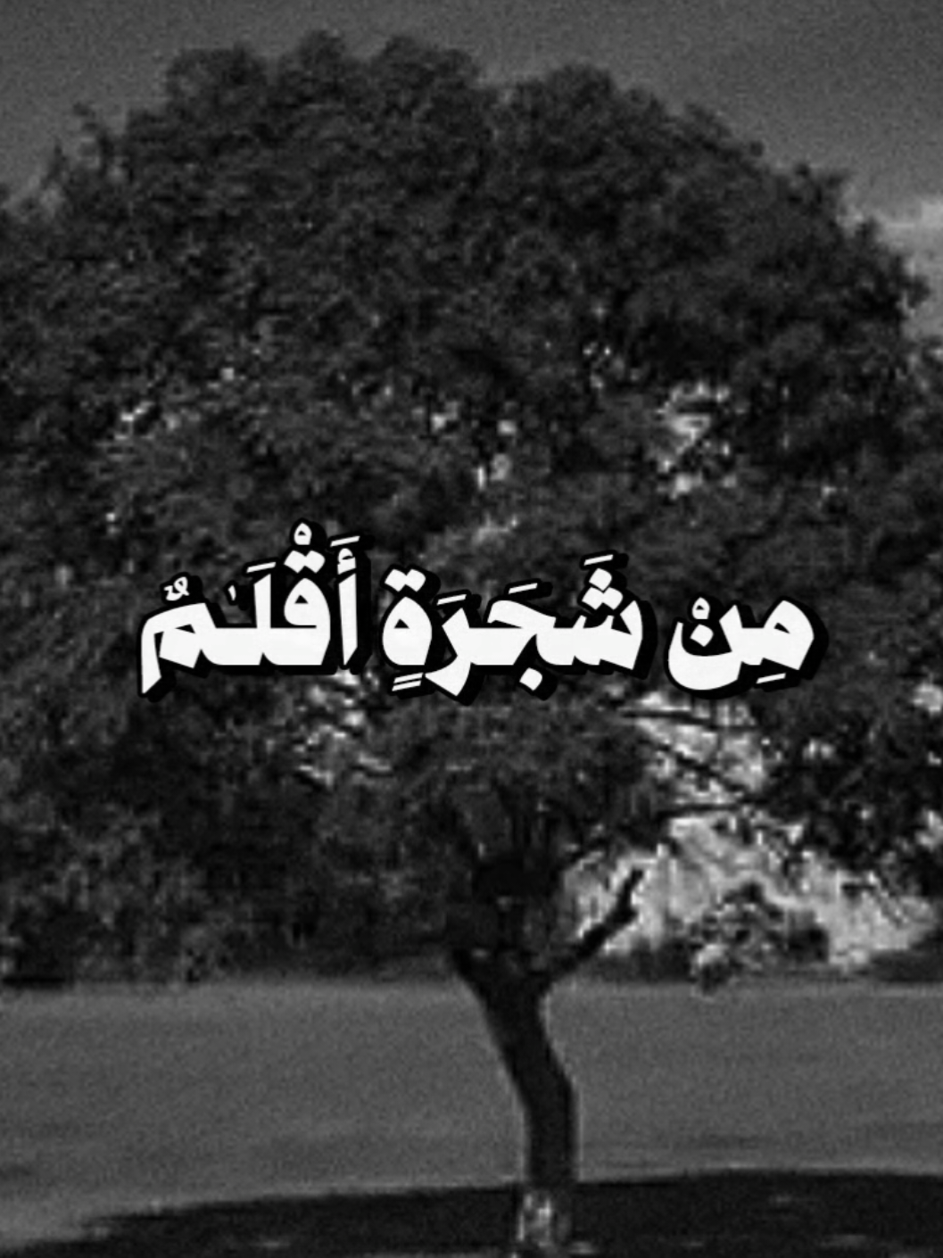 سورة لقمان  #ياسر_الدوسري #ولو_انما_في_الارض_من_شجرة_اقلام #سورة_لقمان #الشيخ_ياسر_الدوسري #قرآن_كريم_راحة_نفسية 