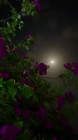 أسوء شعور يمر فيه الأنسان ‏          هدوء خارجي  ‏         وحرب داخِلية