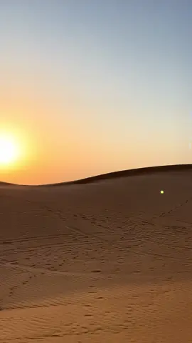 Booking is open for red sand safari✨🐪🥀🦅#foryou #fyp #burhantv #illu #sandboarding🏂 #redsand #landcruiser #dunebashing #atv #quadbike #repost 
