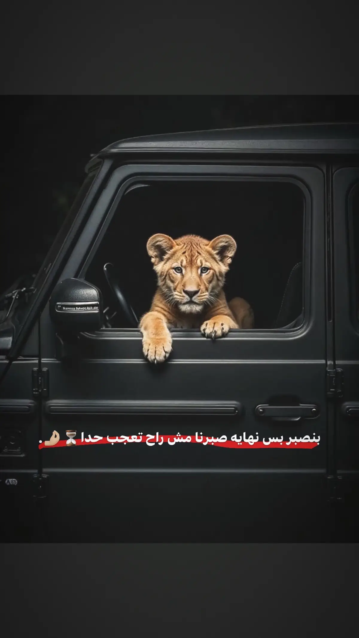 #لايك__explore___ #صور #عبارات #تصميم #فوريو 