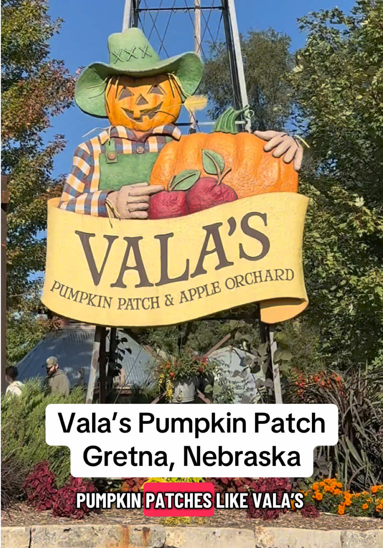 It’s pumpkin patch season, which is the best season IMO. I’m here for all things apples and pumpkins and ciders, oh my! Eastern Nebraska also has some incredible pumpkin patches, so today we are getting things started at @valaspumpkinpatch. It’s a good time every time. And if you stick around for the entire video, you’ll learn something about where I was when Scott Frost was fired 😅 What pumpkin patches are you visiting this fall?? #nebraska #nebraskatok #omahanebraska #omaha #midwestlife 