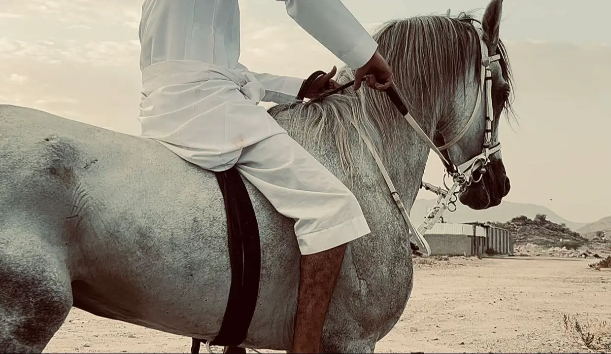 اللهم اني اشتقت لـشخص لن يرجع أبداً ولن يأتي مثله أبدآ ولن يعوض مكانه أحداً .. فأسألك اللهم آن تسكنه جنتك واسالك بكل اسم هَو لك أنْ تُنزل عليه ضياء فّي قَبره وان تُؤنسّ وحشَته و تمَتعه بِلذة النَظرٌ لوجهك الكريم، اللهم أنت تعلم أنه لو كان ضيفي لأكرمته والآن هو ضيفك فأكرمه يا أكرم المكرمين #صدقه_جاريه #صدقه_جاريه_عن_عادل_الذبياني #اكسبلور 