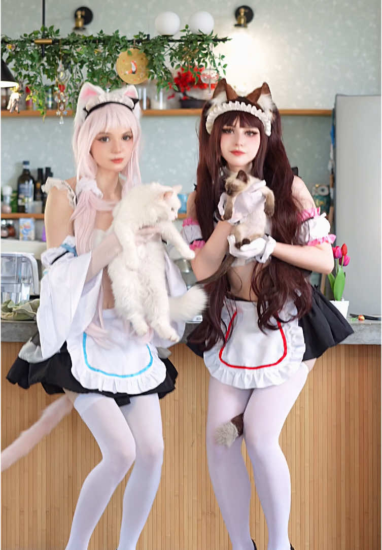 ROCK YOUR BODY  Me as Vanilla, Chocola @dekomores #nekogirls #nekopara #nekoparacosplay  #vanillanekopara  #nekoparacosplay #vanillacosplay #chocolacosplay  #cosplay #cosplaygirl  #animegirl #animecosplay #nekogirl #nekocosplay #waifucosplay