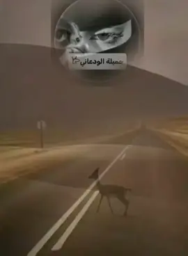 للي طلب التصميم 🌷. #اكسبلورexplore #fypシ゚viral #لايك_فولو 