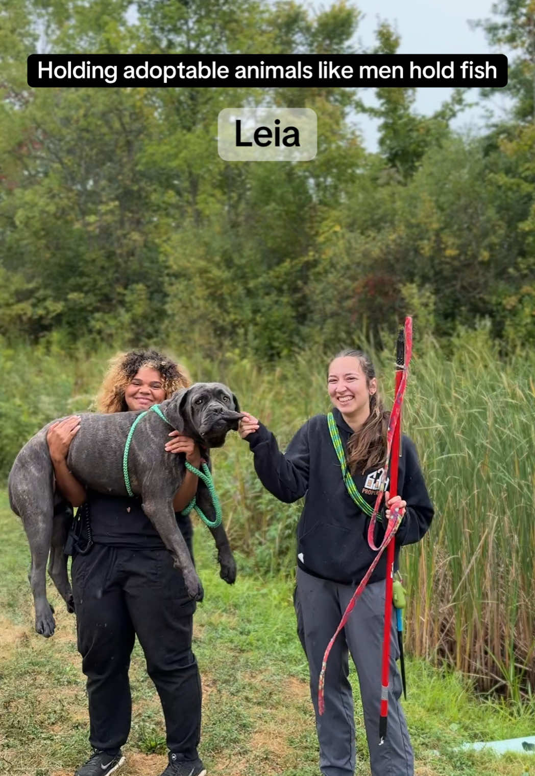 Holding Our Adoptable Animals the Same Way Men Hold Fish! 🎣 Why spend all day on the lake waiting for a bite when you can just swing by our shelter and reel in instant happiness?  These are the real catches of the day! Cute, cuddly, and not a single one smells like fish.  They’re all adoptable, all keepers, and the only thing they’ll hook is your heart. #SpeakUpSpeakLoud #HelpUsHelpThem #AnimalCharityofOhio