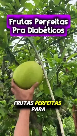 Frutas Perfeitas para diabéticos #saude #diabetes 