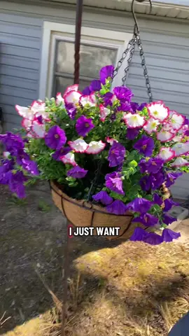 This hanging flower basket is exactly what I needed outside!  #fakeflowers #artificialflowers #hangingbaskets 