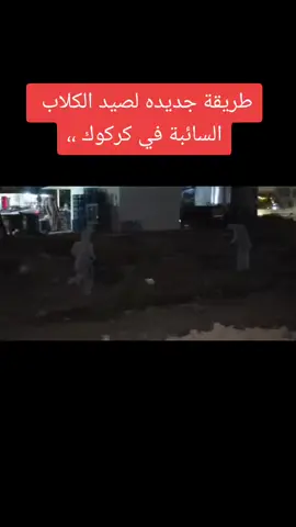 #كركوك #كركوك_مدينتي #ترند #مشاهير