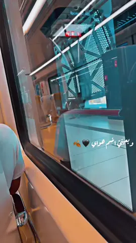 #وبعيني_اضم_هواي_بس_كون_الاقيه🥀 #الشعب_الصيني_ماله_حل😂 #tiktok #مالي_خلق_احط_هاشتاقات #