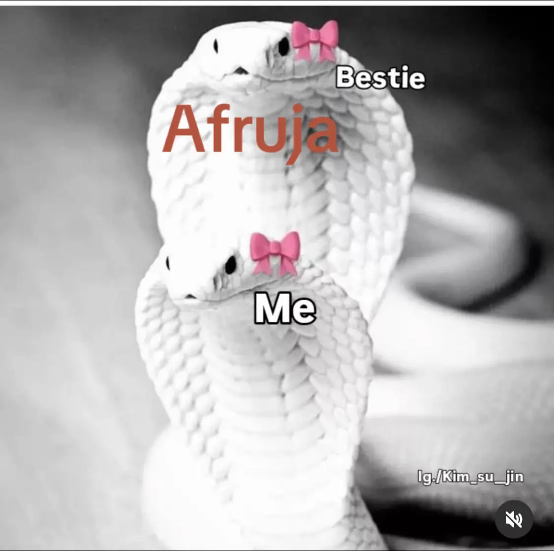 @sonam aktar 🤣