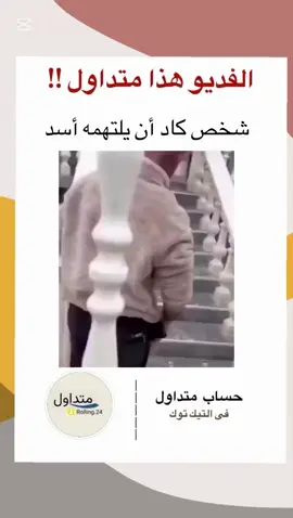 #اسد 
