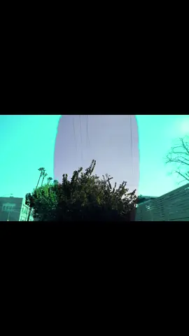 Warning Test Side Area: An Embarrassment of Riches Fickle Hill #losangeles #california #usa🇺🇸 #newmusic #losangelesoftiktok 