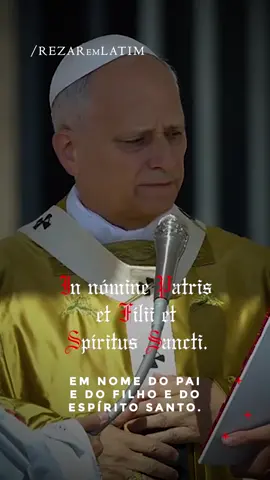 Momento de pura graça na canonização de São Carlo Acutis e São Pier Giorgio Frassati, celebrado pelo Papa Leão XIV 🙏. No vídeo, o Santo Padre inicia com o sinal da cruz, seguido pelo solene Veni Creator Spiritus, invocando o Espírito Santo.  Um momento histórico e inspirador para a Igreja e para os jovens de todo o mundo! #VeniCreator #VeniCreatorSpiritus #PapaLeãoXIV #BeatoCarlosAcutis #CarlosAcutis 