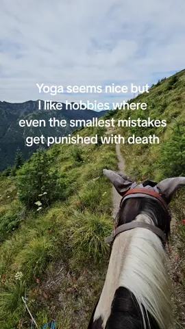 #horses #horsesoftiktok #trails #fyp #trending 