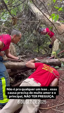 Acompanhem como foi o resgate do último filhote que estava em um buraco no meio da mata, agradecemos a ajuda dos bombeiros, que nos ajudaram a salvar mais uma vida. 