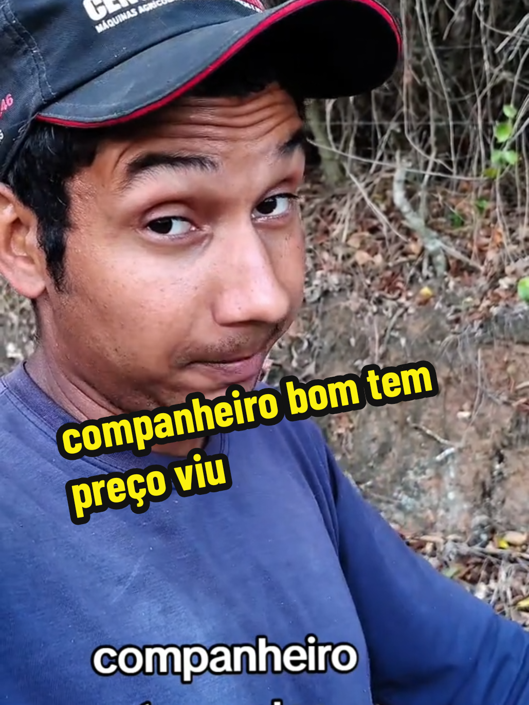 companheiro bom tem preço #trabalho #agro #roça #registrodevida #Vlog 