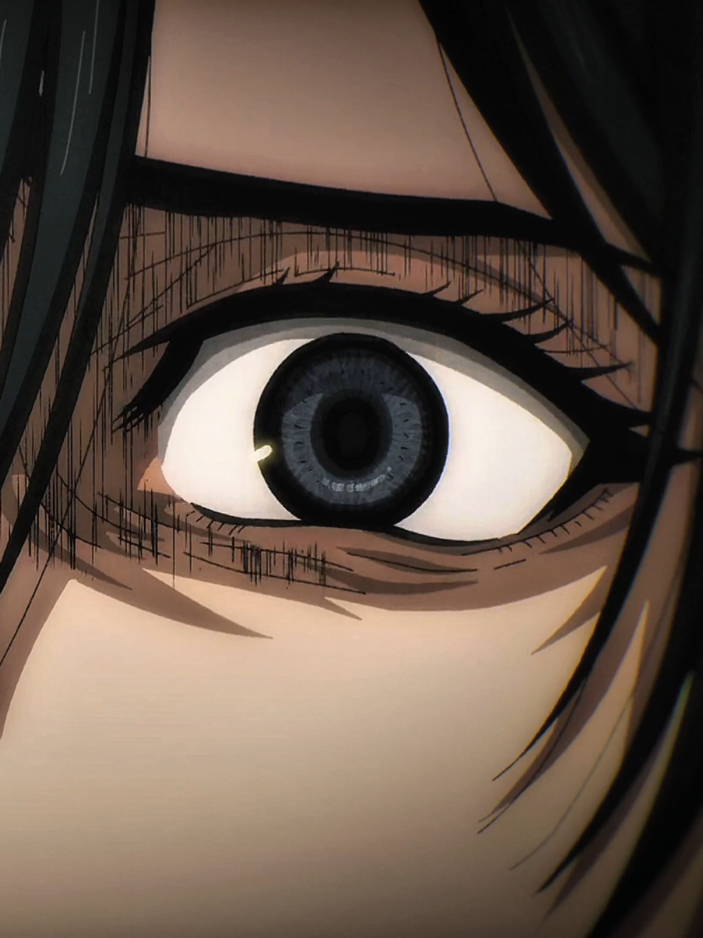 Even One Piece fans wouldn’t believe you 🤡 #AttackOnTitan #eren  #mikasa