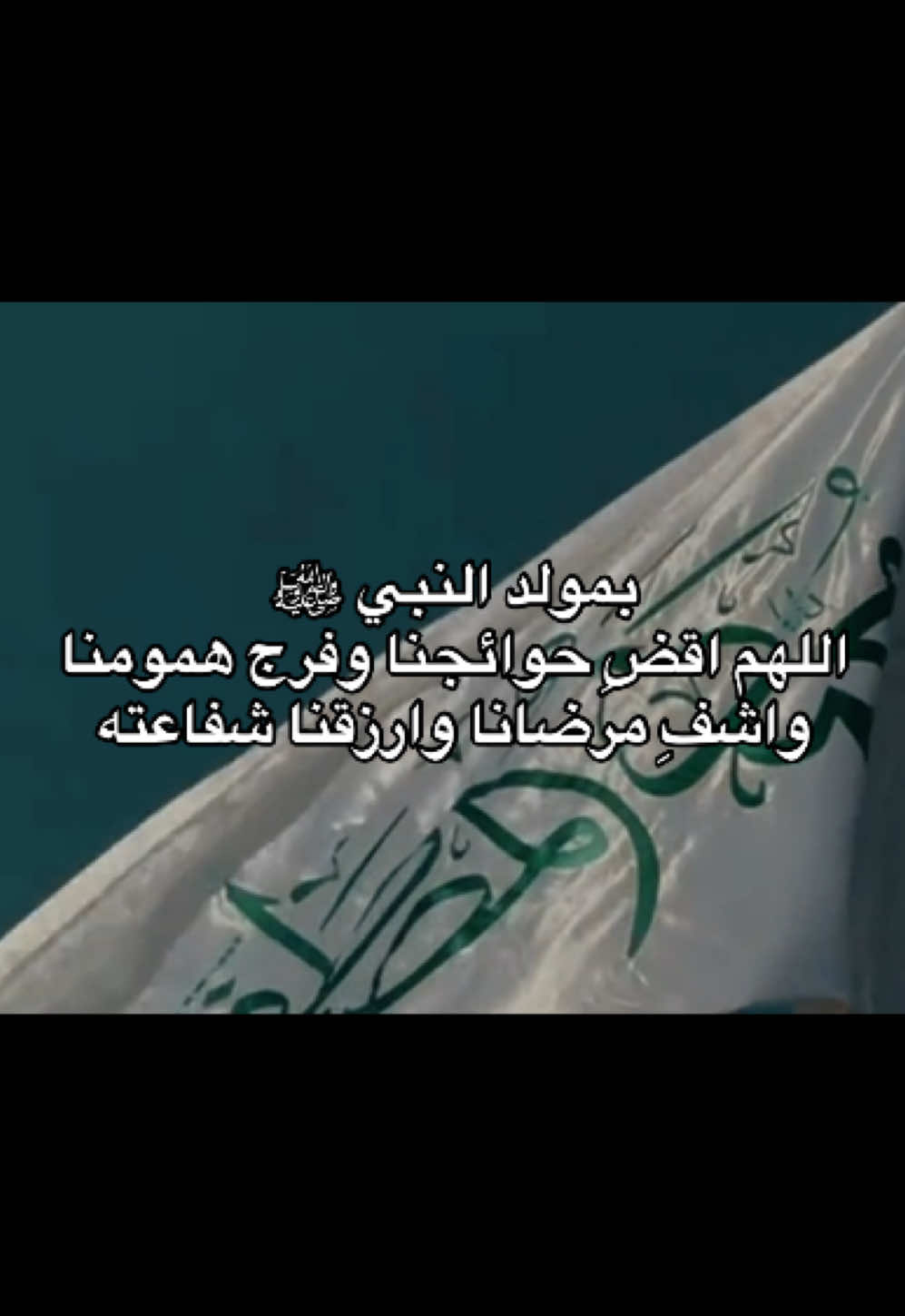 بمولد النبي ﷺ اللهم اقضِ حوائجنا وفرج همومنا واشفِ مرضانا وارزقنا شفاعته#١٧_ربيع_الأول #مولد_النبوي_الشريف_مبارك #النبي_محمد_صل_الله_عليه_و_آله_وسلم #النبي_عليه_الصلاة_والسلام #اهل_البيت_عليهم_سلام 