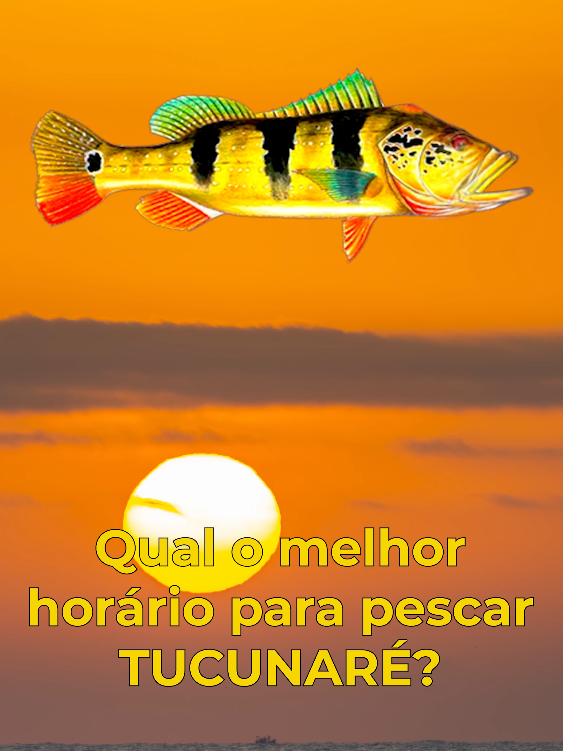 HORARIO PESCA DE TUCUNARE ##pescar #pesca #tucunare #tucunaré #piapara #pescaria #traira