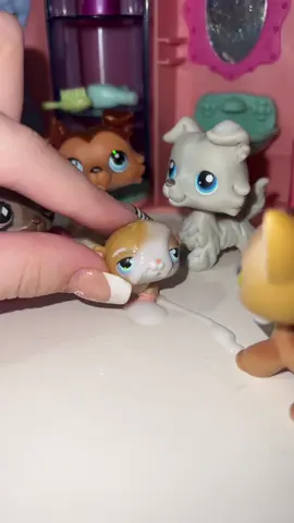 this is my personal experience..hate when this happens #lps #littlestpetshop #fyp #foryou #lpsroleplay 