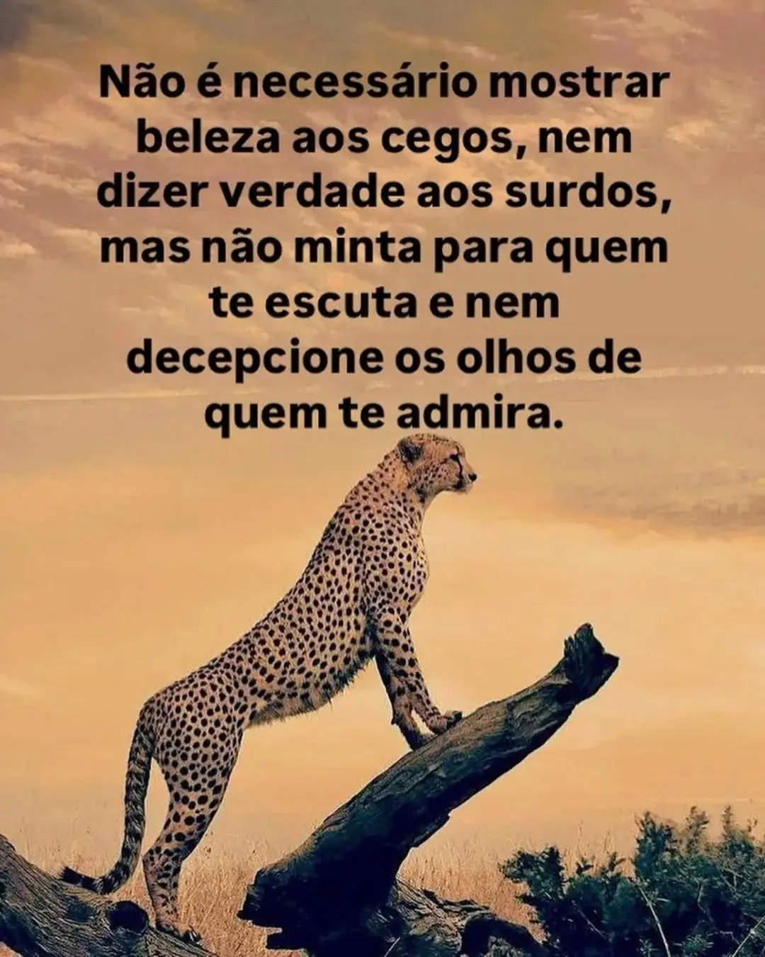 #focaremsimesmo #reflexion #motivacional #foryou 