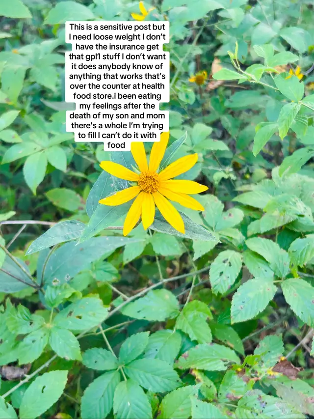 #help #healing #prayers #faith #grief 