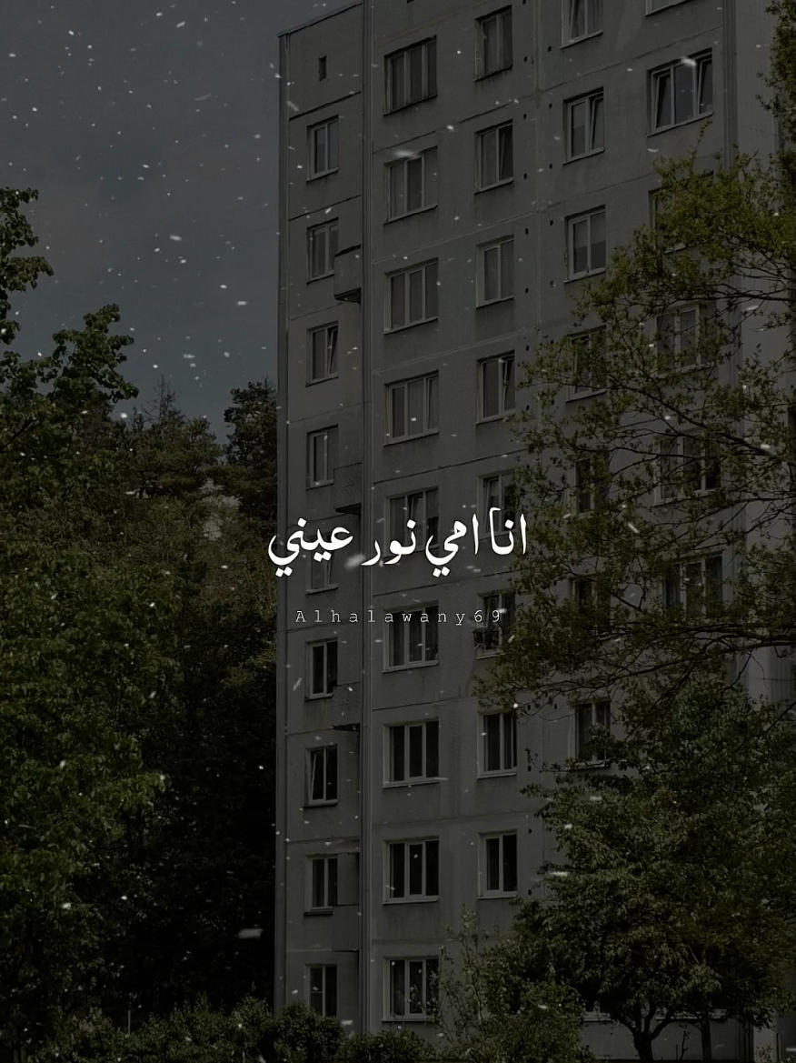 انا امي نور عيني 💙✨ #فارس_قطرية #امي #شعر #fyp #تصميم_الحلواني🖤🎤 