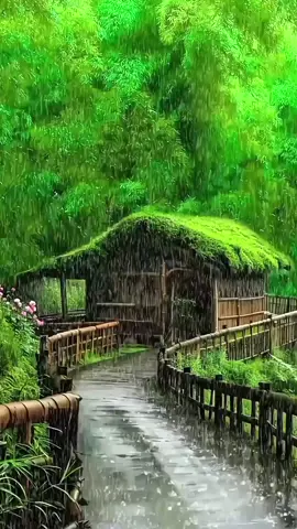 #cenas #natureza #calma #chuva #relaxante 