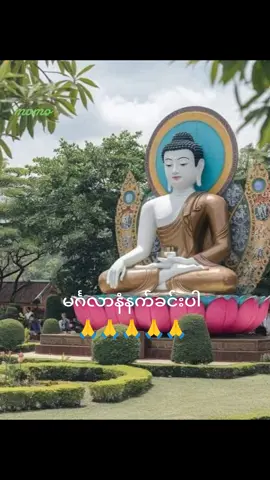 #မင်္ဂလာနံနက်ခင်းပါ #🙏🙏🙏🙏🙏 #ကိုယ်စိတ်နှစ်ဖြာရွှန်လန်းကြပါစေ #ပြန်လည်မျှဝေခွင့်ပြုပါသည် 