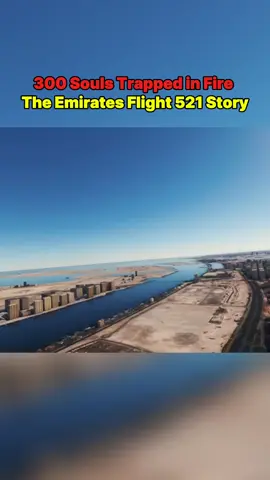#aviation #survival #crash #planecrashed #crash 