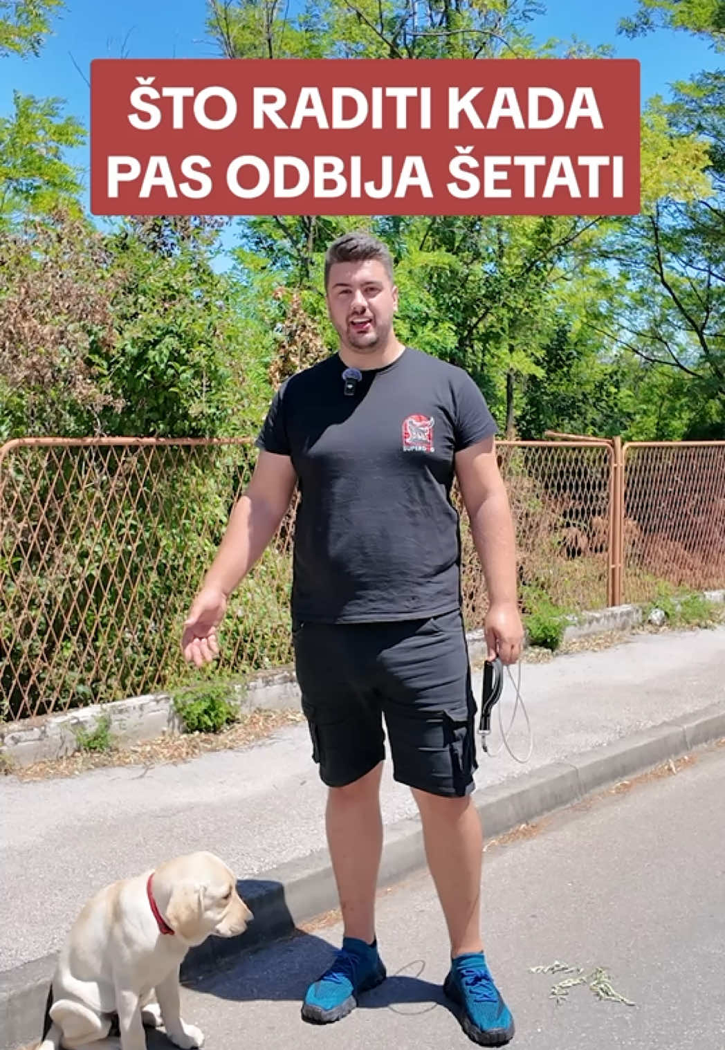 Šta uraditi kada pas više ne želi šetati? Pritisak sa odgovarajućom opremom plus omiljene nagradice! #superdog #nepostojilospas #sretanpas #boljipasboljisvijet #dresurapasa 