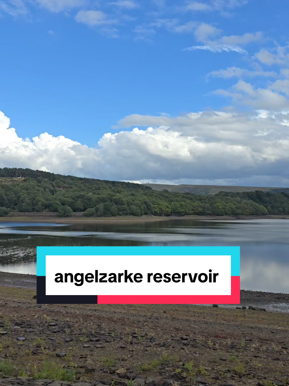 nice little 7.5km aroud anglezark reservoir, its getting work done so the bridge was blocked off half way through so we had to carry the 68kg XL bully over a 2m wall 😂😂😂  don't nobody else make me feel like ooooo than nature and the outdoors 💗  #nature #Outdoors #walking #happy #fyp 