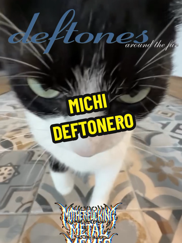 Deftones - My Own Summer (Shove It). #deftonesfan #deftonestiktok #deftonesenjoyer #deftones #cats 