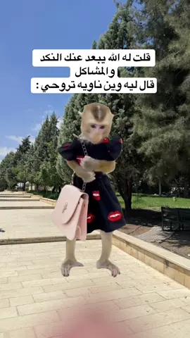 #Meme #MemeCut #الشعب_الصيني_ماله_حل😂😂 #explore 