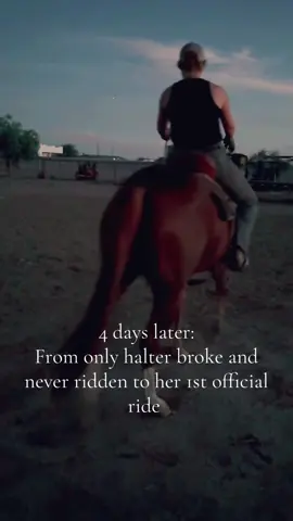 Lots of work ahead. Yes my stirrups are really short. Don’t judge me #horses #training #western #az 