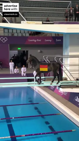 comment the best animal jump #ai #olympics #olympic #olimpiadas 