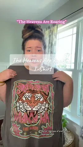 Vintage Rock Inspirsed T-Shirt or Sweatshirt with a great message!! #christianclothing #tiktokshoprestock #tiktokshopfinds @Jordan-Colors of Grey 