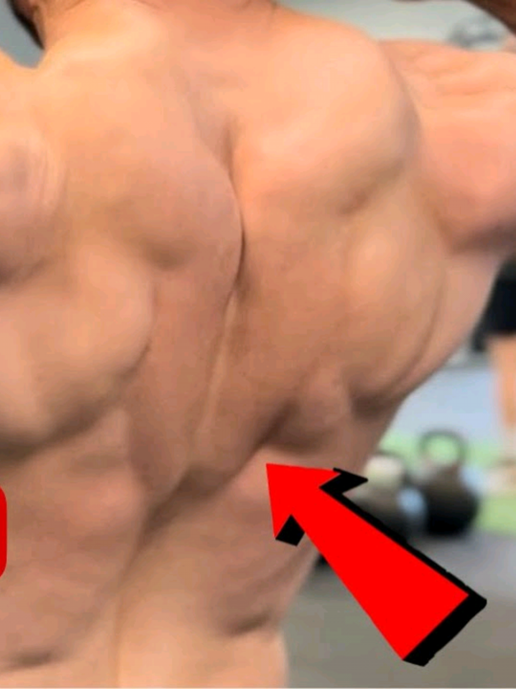 Unlock Your Dream Back: Intense Dumbbell Workout for Unstoppable Gains! #backworkout #dumbbellworkout #workout #exercise #Fitness 