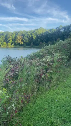 #northcarolina #explore #nature 