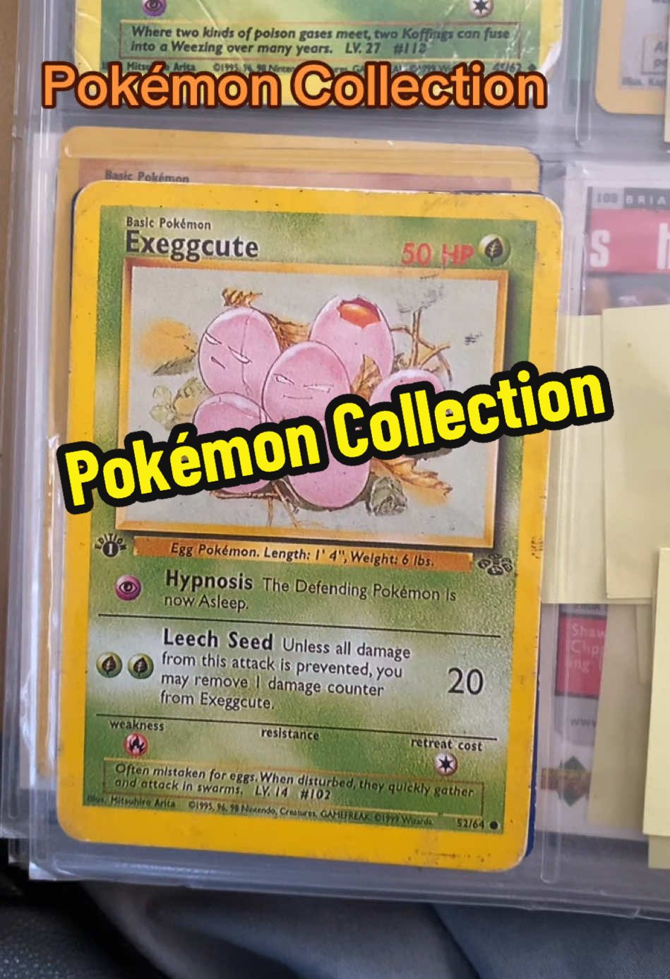 Pokémon Collection From 1996. #pokemon #pokemoncards #pokemontiktok #pokemoncommunity #pokemonfan #gottacatchemall 