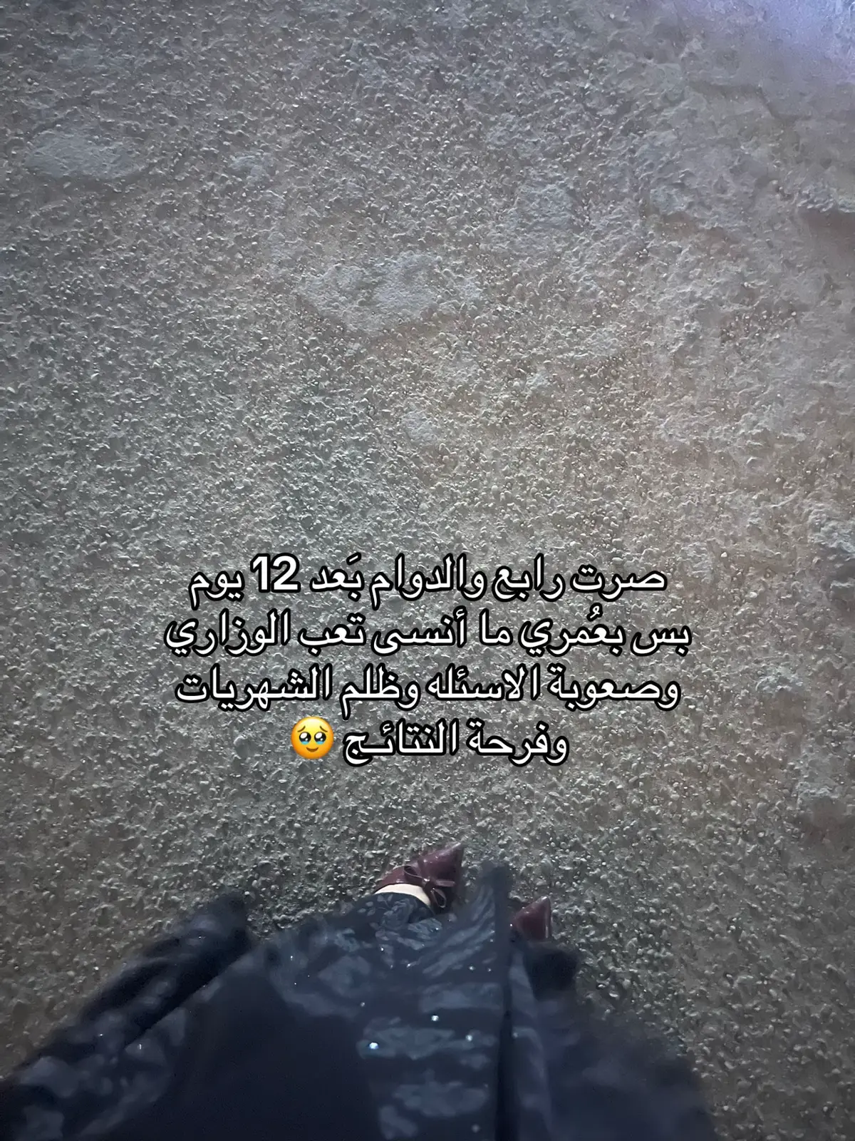 بعد صارت سوالف🐙. #مالي_خلق_احط_هاشتاقات 