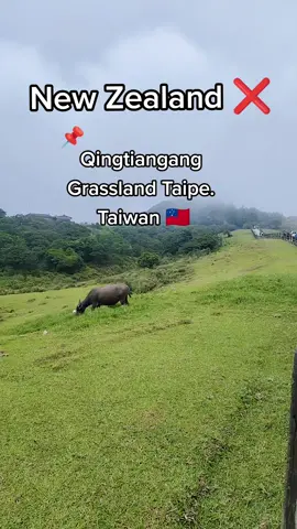 #TikTok夏日音樂節 