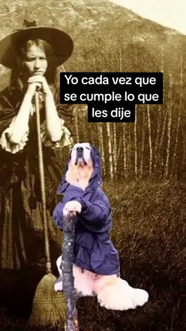 #witchtok #brujasdetiktok #tarot #lecturadecartas #prediccion 