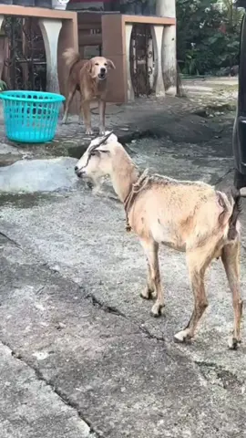 😂😂😂