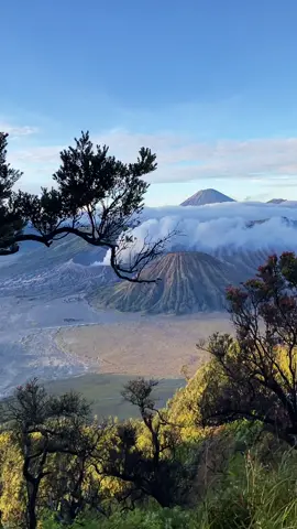 Bromo 9 September 2025 Se syahdu ini lho 🥹 - Private trip Bromo dm #bromo #fyp #pakejbromo #bromotrip #fgbromo 